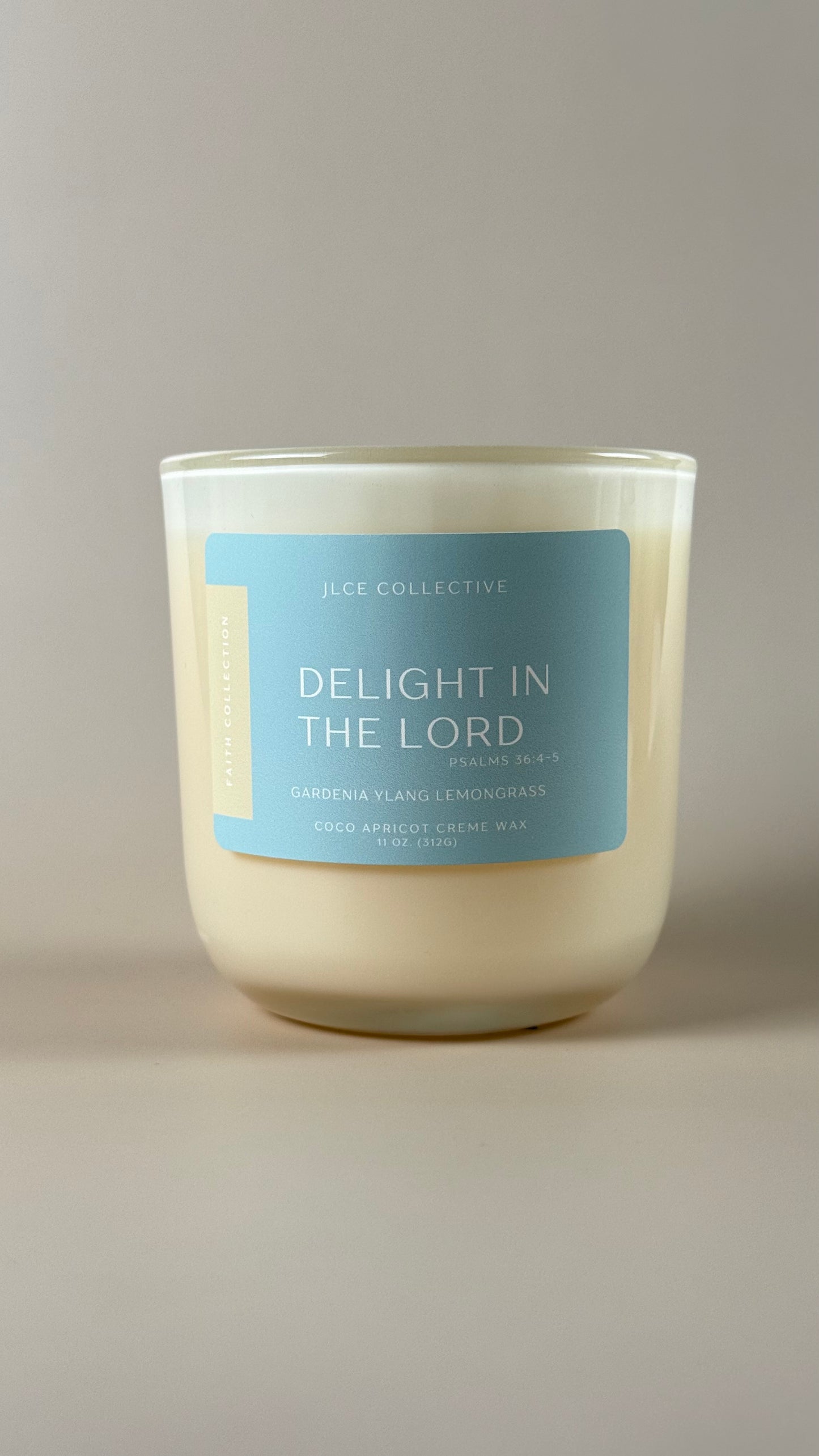 Delight In The Lord | Psalm 37: 4-5