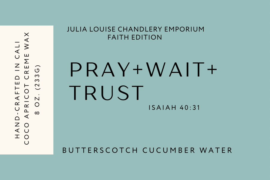 Pray.Wait.Trust | Isaiah 40:31