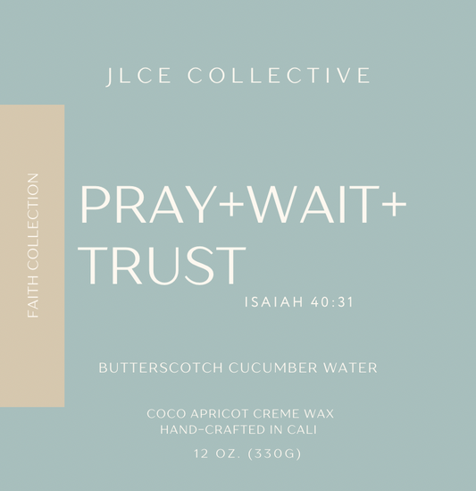 Pray.Wait.Trust | Isaiah 40:31