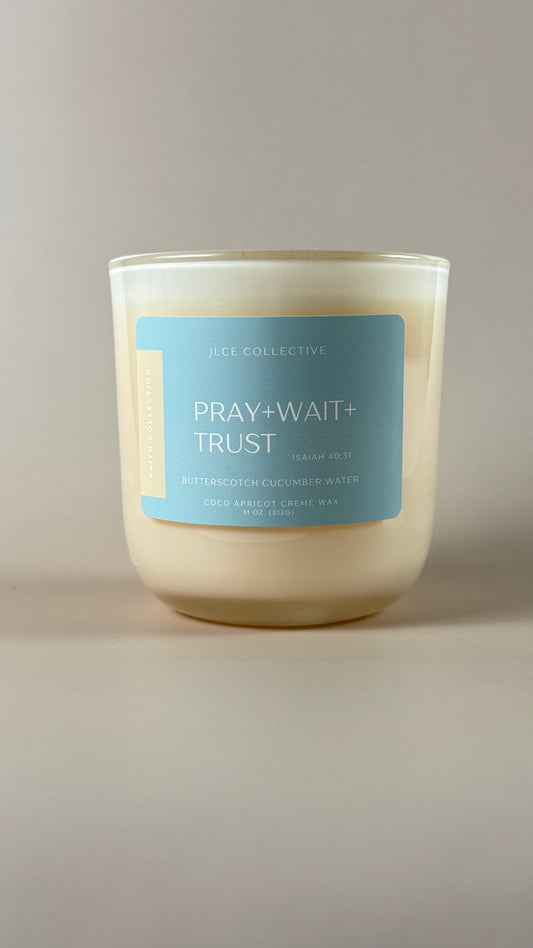 Pray.Wait.Trust | Isaiah 40:31